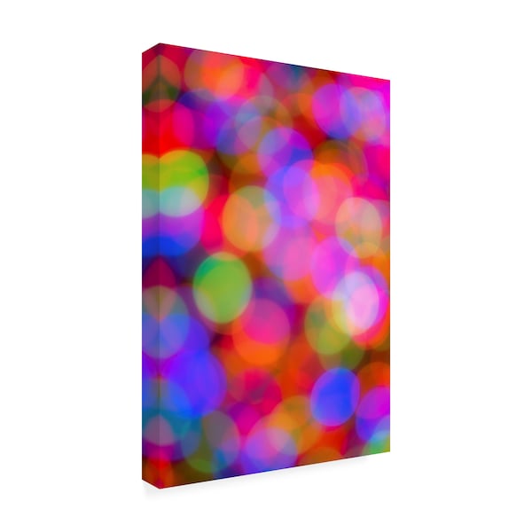 Darren White Photography 'Holiday Lights' Canvas Art,12x19